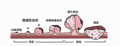 調整大小 微信圖片_20230809170443.png